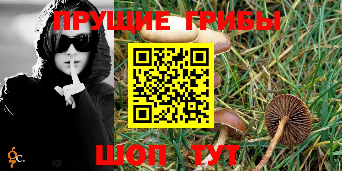 Галлюциногенные грибы Psilocybine cubensis  Вход с VPN  закладка  Минеральные Воды 